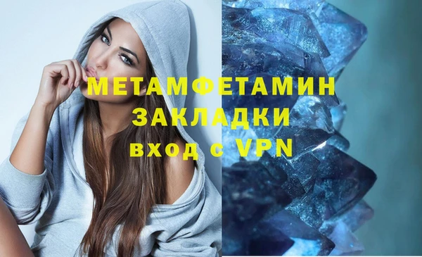 прущие грибы Белокуриха