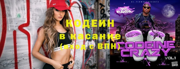 прущие грибы Белокуриха