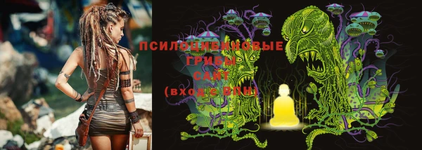 PSILOCYBIN Беломорск