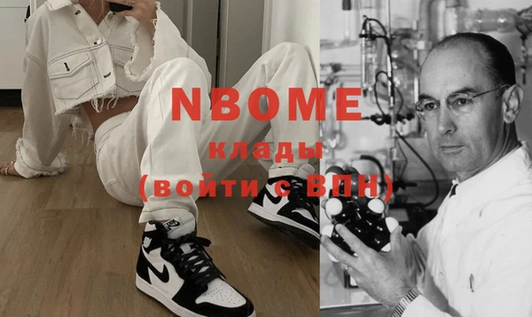 прущие грибы Белокуриха